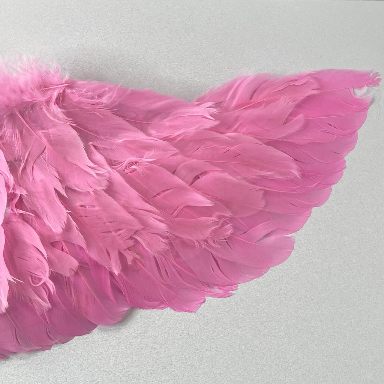 Angel Wings - Pink