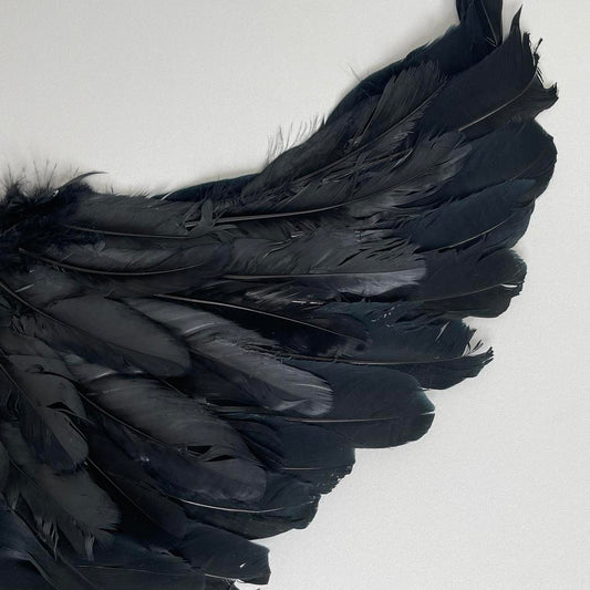 Angel Wings - Black