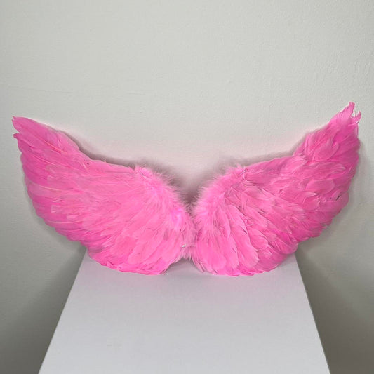 Angel Wings - Pink